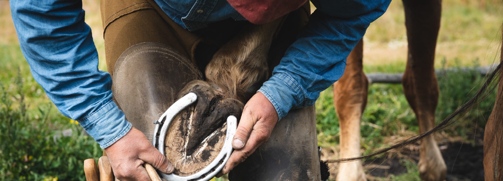 http://A%20close-up%20of%20a%20person%20fitting%20a%20horseshoe%20onto%20a%20horse’s%20hoof%20outdoors.