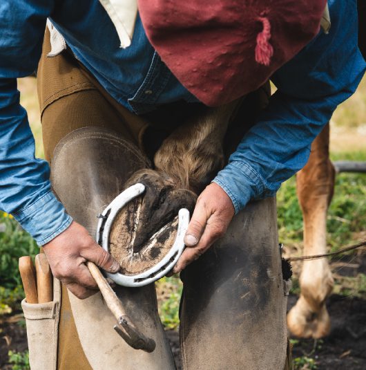 http://A%20close-up%20of%20a%20person%20fitting%20a%20horseshoe%20onto%20a%20horse’s%20hoof%20outdoors.