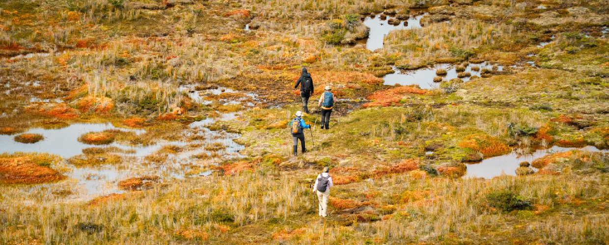 http://A%20small%20group%20of%20hikers%20crossing%20a%20marshy%20landscape%20with%20shallow%20pools%20and%20autumn-colored%20vegetation.