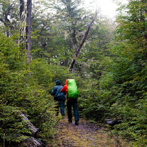 Two hikers walk along a wet trail in a lush green forest.