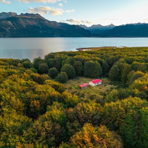 A red-roofed cabin sits in a dense forest beside a lake.