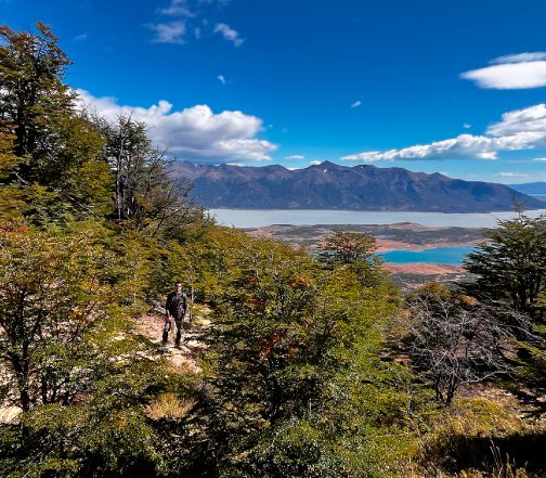 Hiker trekking through lenga beech forest with views of a vivid turquoise glacial lake and Andean mountains near El Calafate, Argentina