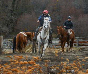 aucho guide and traveler horseback riding through a rustic corral surrounded by autumn foliage in Patagonia, Chile