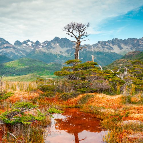 Yendegaia National Park in Tierra del Fuego, Patagonia Chile.