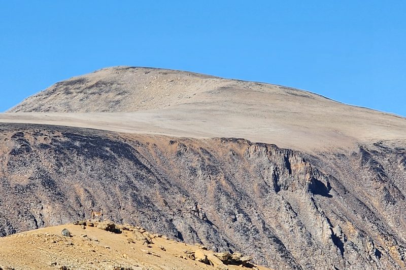 Cerro Moyano