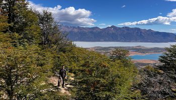 Mirador Cristal